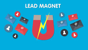 leads magnet et content marketing