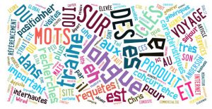 mots clés de longue traine pour le référencement naturel