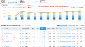 Classement des mots clés organiques Semrush