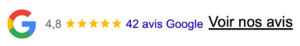 Avis google agence SEO Paris